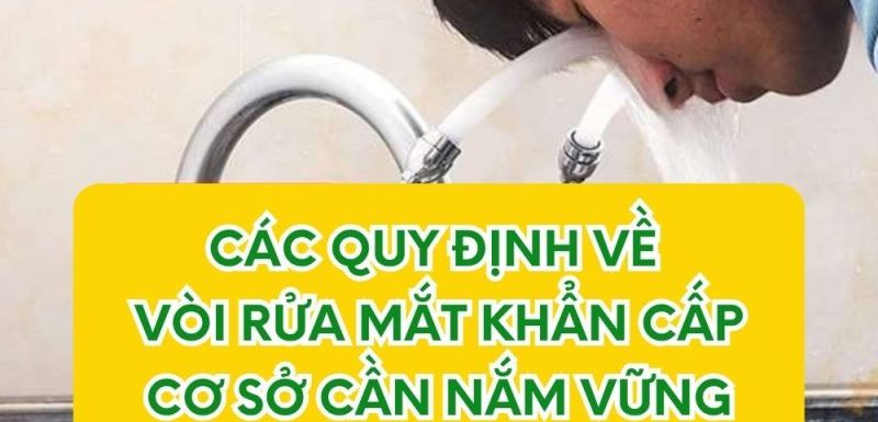 Các quy định về vòi rửa mắt khẩn cấp cần nắm vững tại cơ sở